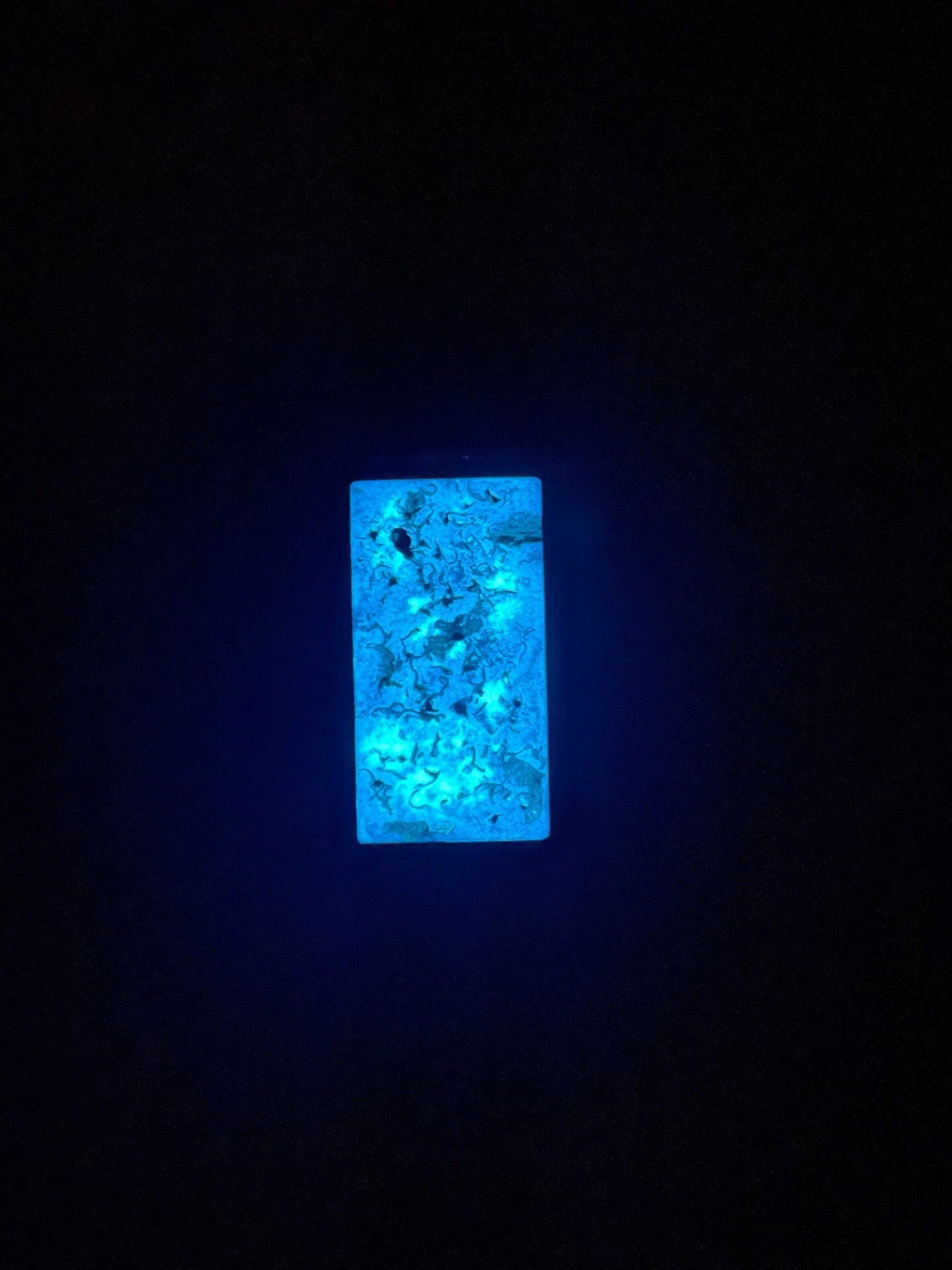 Discovery Pendant