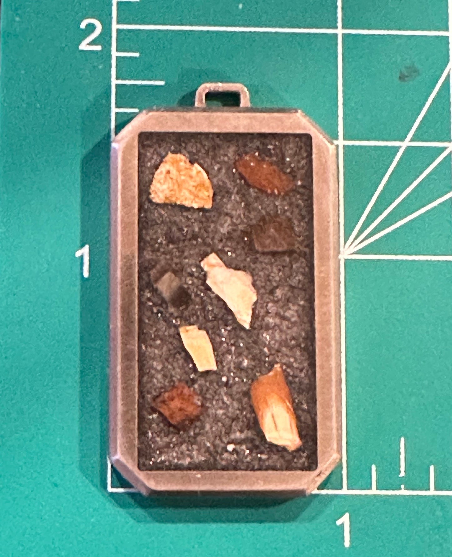 Jurassic Park inspired Titanium Inlay Fossil Pendant