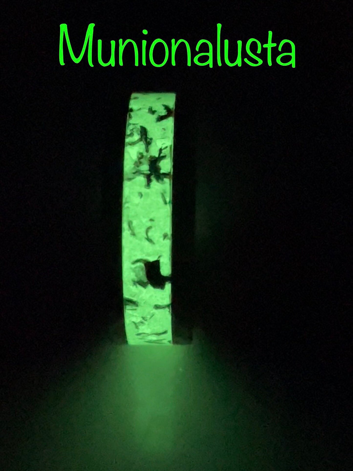 Munionalusta