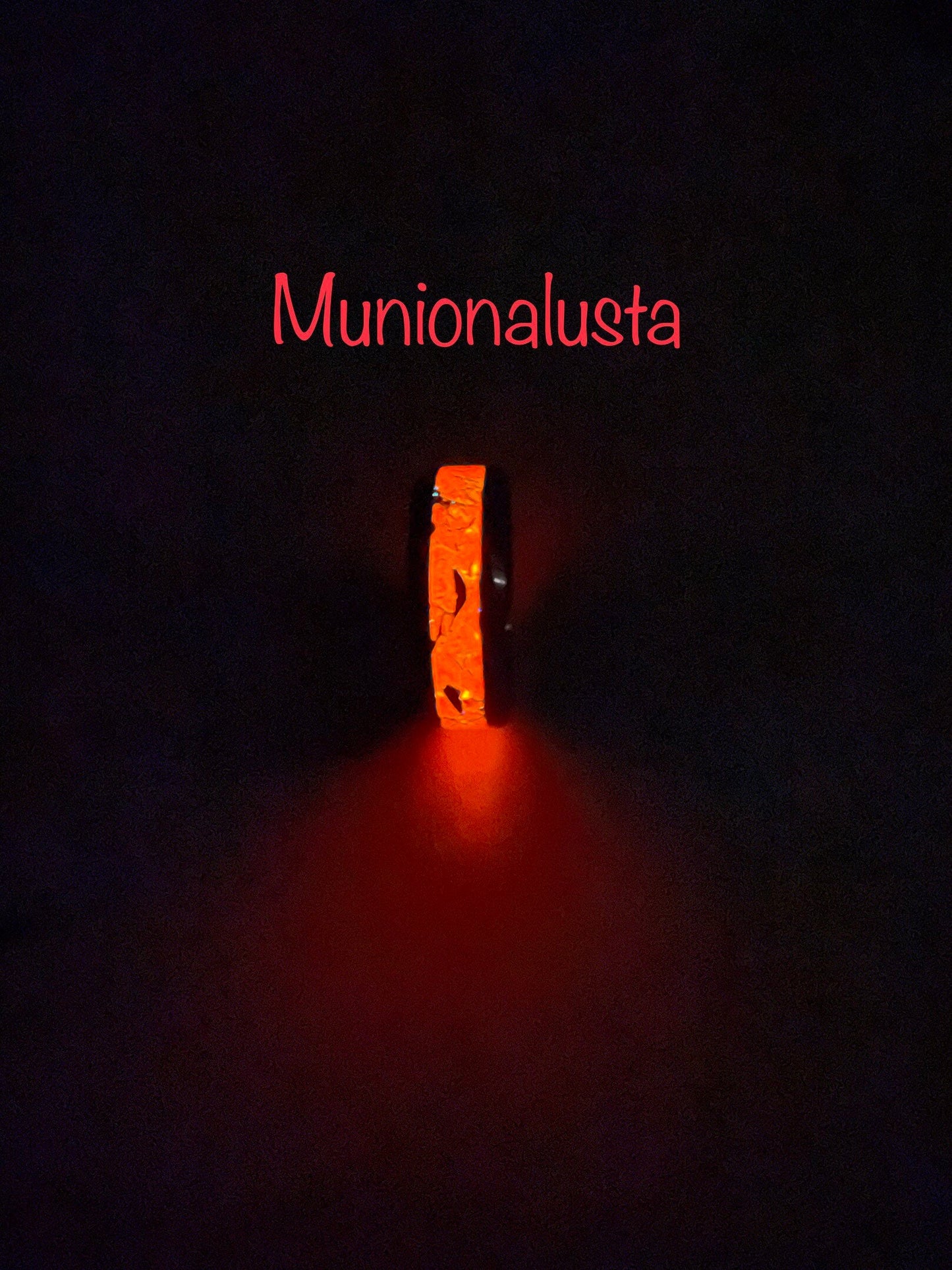 Munionalusta